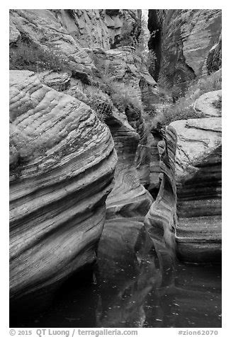 Black And White Picture Photo Scuptured Canyon And Reflections Echo Canyon Zion National Park