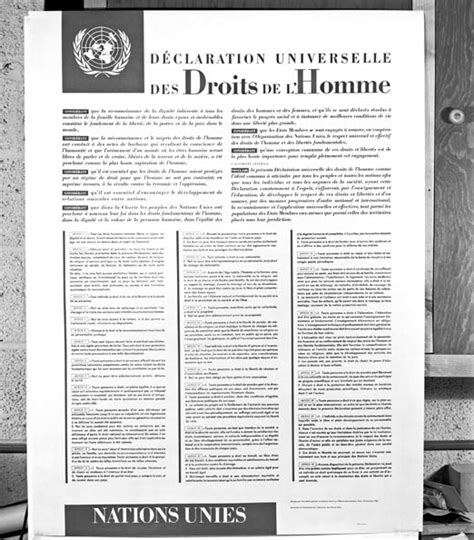 Declaración Universal De Derechos Humanos 1948 Humanium