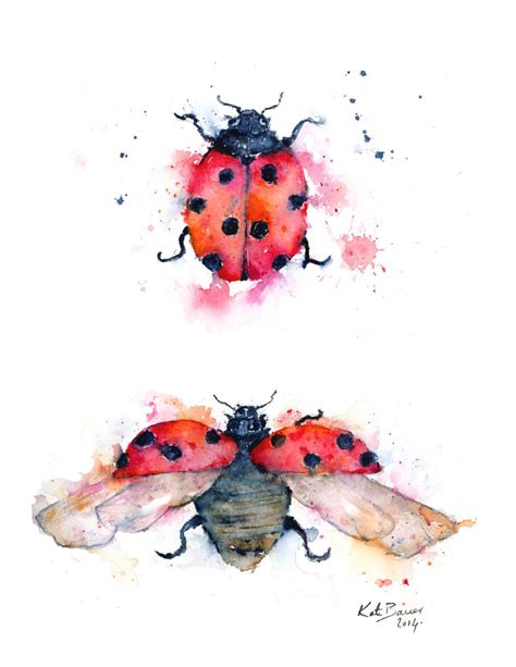 Ladybug Illustration Ladybird Illustration Watercolor Print By