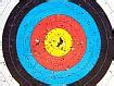 Please excuse the minimal giggling and camera shaking. Archery Target 100 Piece Classic Jigsaw Puzzle - JigZone.com