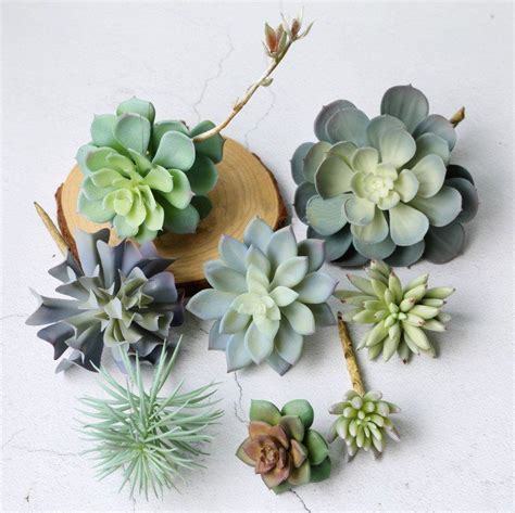 Set Of 8 Artificial Succulent Faux Succulentfake Succuentunpotted