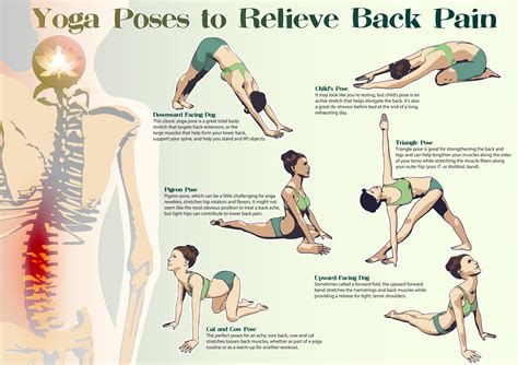 Your lower back pain suffers if you slouch in your desk or sit for long hours. How to relieve back pain: 6 best yoga poses - Eco Health Lab