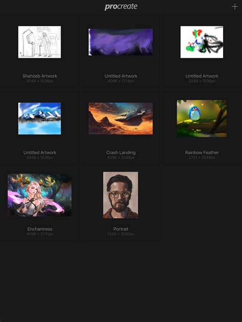 How To Get Started With Procreate For Ipad Pro