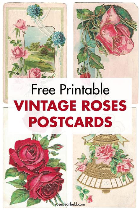 A Collection Of Eight Free Printable Vintage Roses Postcards Ideal For