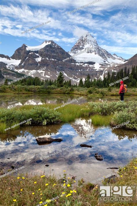 Canada Mount Assiniboine Provincial Park Hilker Looking At Tarn At