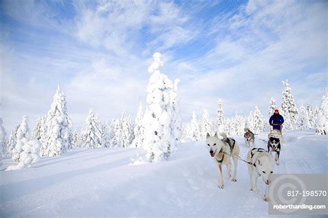 Finland Lapland Sled Stock Photo