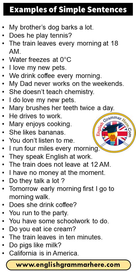 Examples Of Simple Sentences In English English Grammar Here