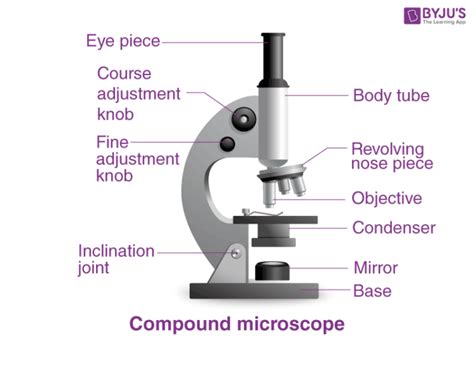 Types Of Microscopes Definition Working Principle Diagram Applications FAQs