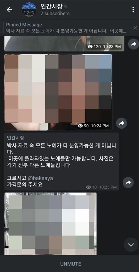 조주빈은 텔레그램에서 인간시장방 도 운영했다