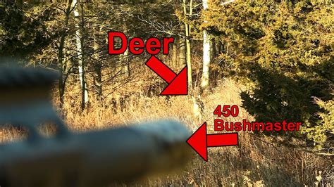 450 Bushmaster Vs Deer Slow Motion Youtube