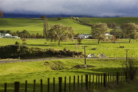 New zealand internships provides a wide range of work experience and internship jobs throughout new zealand. File:Green farm in spring in the South Island, New Zealand ...