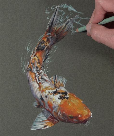 How To Draw A Koi Fish With Colored Pencils