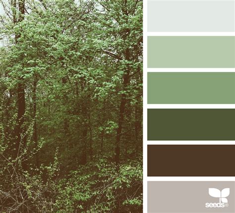 Bedroom Forest Green Color Palette Trendecors