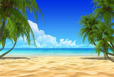 Summer Beach Blue Ocean Sky Backdrop Hj03738 Beach Backdrop Beach