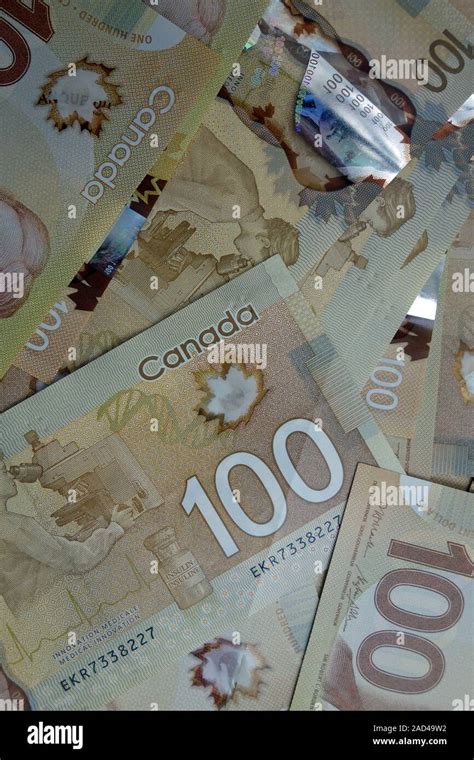 Stacks Of Canadian 100 Dollar Bills