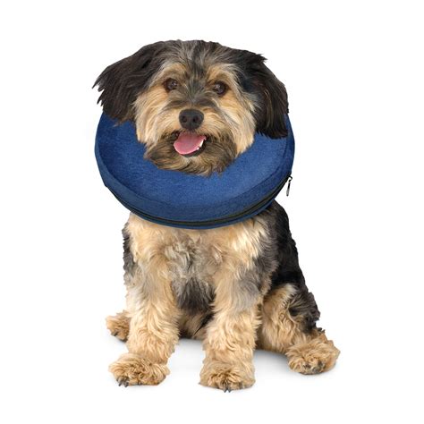 Petsmart Dog Cone Alternative Ph