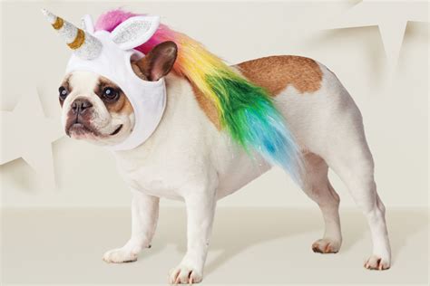 The Cutest Dog Halloween Costumes Ever Fabfitfun
