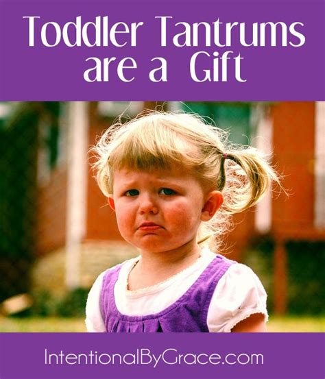Quotes About Toddler Tantrums Quotesgram