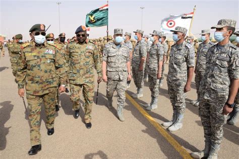 Egyptian Sudanese Air Forces Hold Joint Exercises Dubbed Nile Eagles