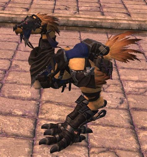 Ffxiv Chocobo Barding Guide Updated Patch Late To The Party Finder T Craft Black Mage