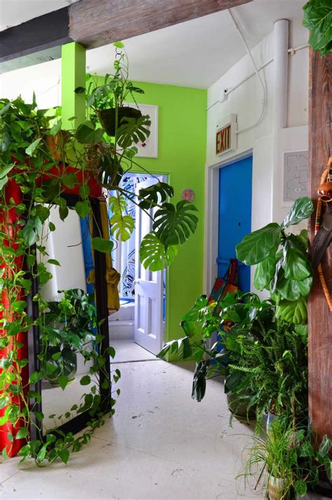 22 Of The Most Plant Filled Homes Weve Ever Seen House Plants Indoor