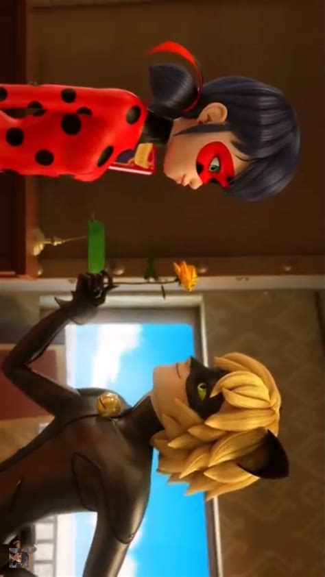 Ladynoir Moment Miraculous Ladybug Anime Miraculous Wallpaper Miraculous Ladybug