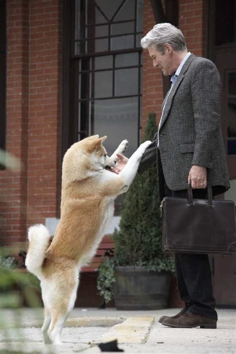 Goliath' storyline into the normality of australian life. Download Hachi: A Dog's Tale movie for iPod/iPhone/iPad in ...