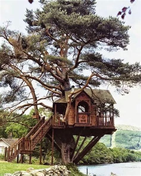 Amazing Tree Houses My World