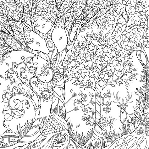 Printable Enchanted Forest Coloring Pages Printable Word Searches