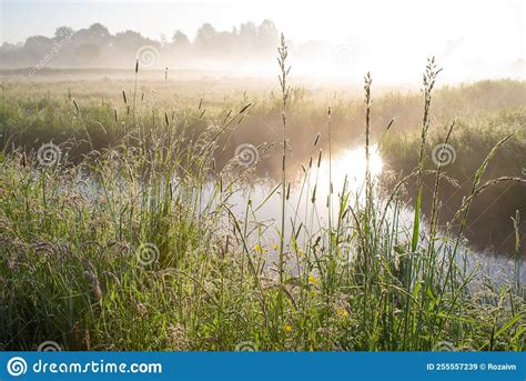 Beautiful Landscape Of The Morning Field And Water Channel With Fog