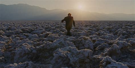 The Tree Of Life By Terrence Malick Tree Of Life Cinematography