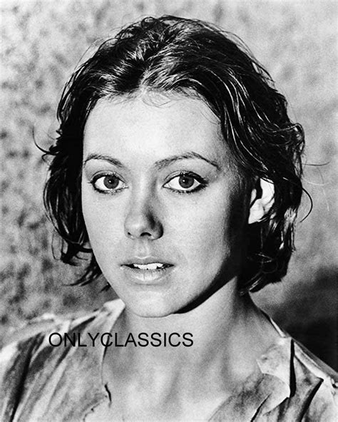 onlyclassics 1976 sexy jenny agutter logan s run 8x10 movie portrait photo pinup