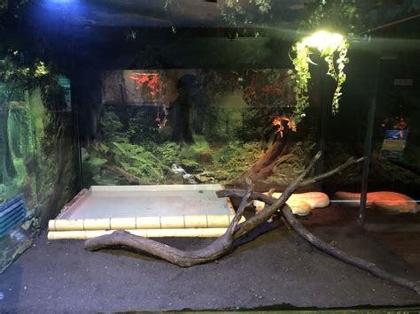 Burmese Python Enclosure At The Emaar Aquarium Zoochat
