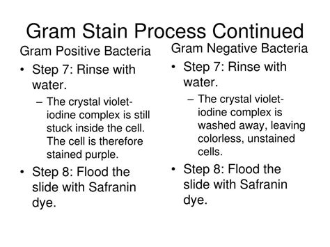 Ppt Gram Stain Powerpoint Presentation Free Download Id2461063