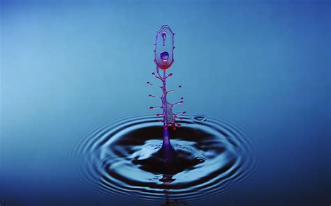 73 Water Drop Hd Wallpapers On Wallpapersafari