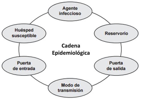 Medicina Y Melodía Epidemiología De Las Enfermedades Transmisibles