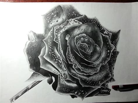 Download roses drawing from above resolutions. Rose drawing by DeadArt1 on DeviantArt