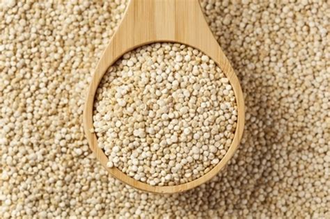 Indian Organic Quinoa Seed Packaging Size Kgs High In Protein At