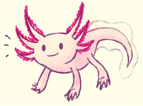 Axolotl Drawing Easy Pin On Geekery Standard Printable Step By Step