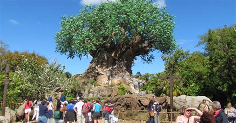 Disney Parks 10 Secrets You Didnt Know About Animal Kingdoms Tree Of