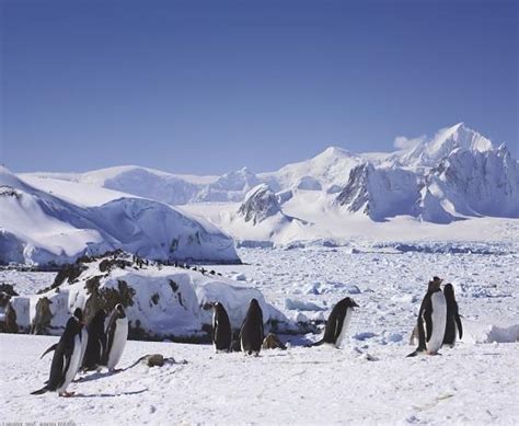 Antarctica Cruises 2019 And 2020 Cruise Destinations Jetline Cruise