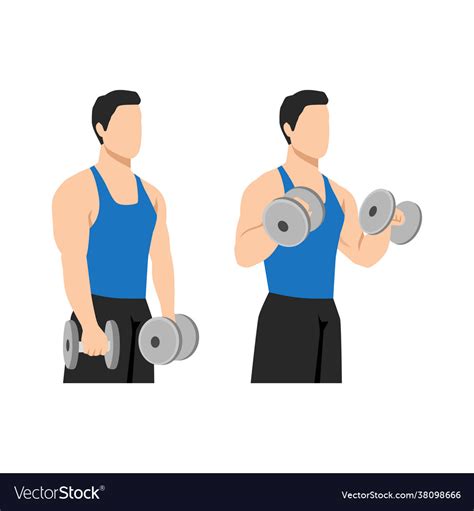 Man Doing Dumbbell Bicep Reverse Curls Exercise Vector Image