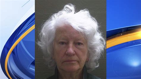 deputies fight over air conditioning leads to 76 year old pensacola woman s arrest wkrg news 5