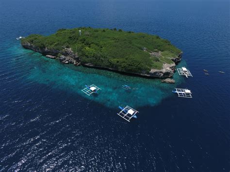 Dive Sites In Moalboal Cebu Philippines Scuba Diving Pescador Island
