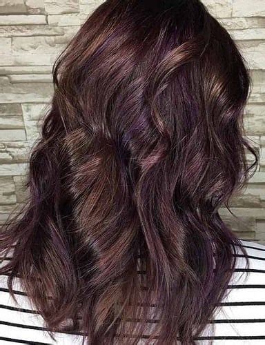 Unlike its lavender cousin, dark purple is more edgy, and a little goth—perfect for fall. Brown Hair Dye Shades - Honey, Chestnut, Copper & Purple ...