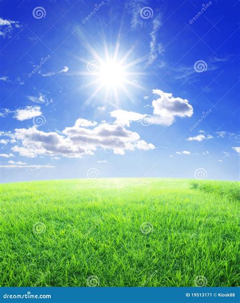 Grass Sun And Blue Sky Stock Image Image Of Nature Bright 19513171