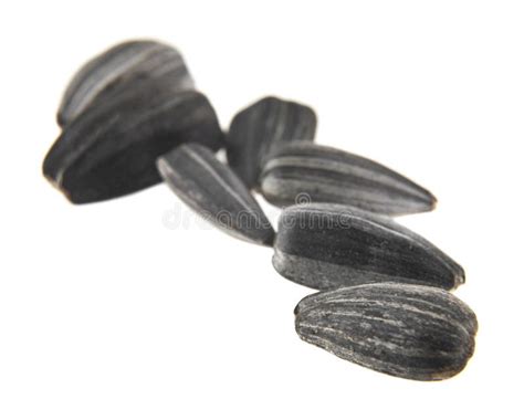 A Pile Of Sunflower Seeds Isolated On A White Background Stock Photo