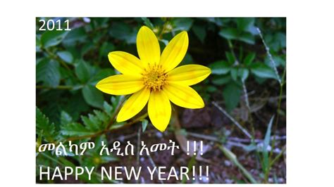 Happy New Year 2011 Ethiopia Africa Rising