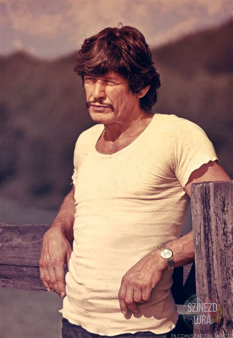 49 Charles Bronson Photos Swanty Gallery