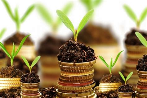 To this end, the government is putting in place various measures to encourage foreign investors to explore the various business opportunities available in the country. Top Most Profitable Agriculture Business Ideas